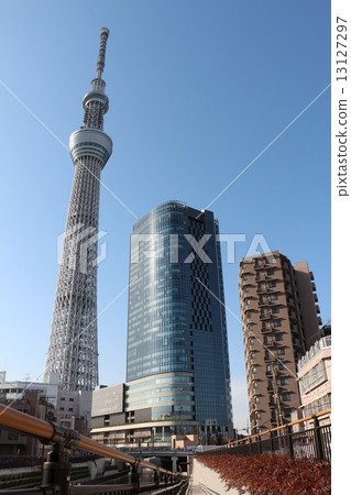 天空樹 天空樹 13127297