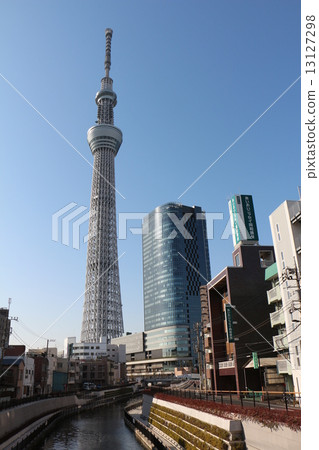 天空樹 天空樹 13127298