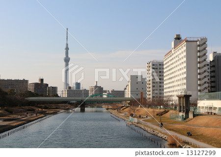 天空樹 13127299