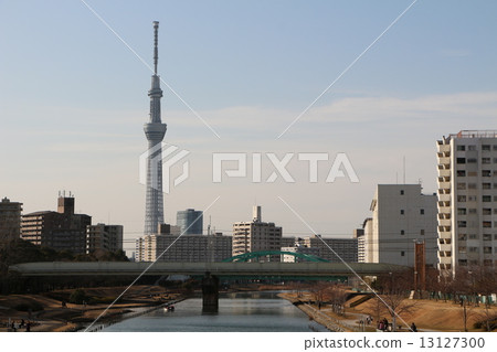 天空樹 天空樹 13127300