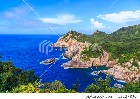 Ashigarance半島的砂漿 13127836