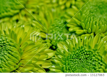 Gigantic Gigantic 13127863