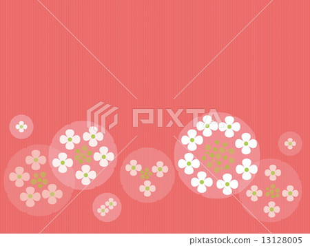  Gaku hydrangea 13128005