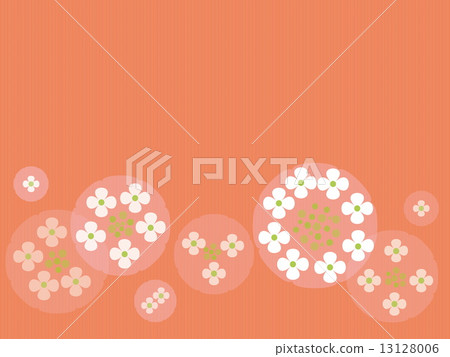  Gaku hydrangea 13128006