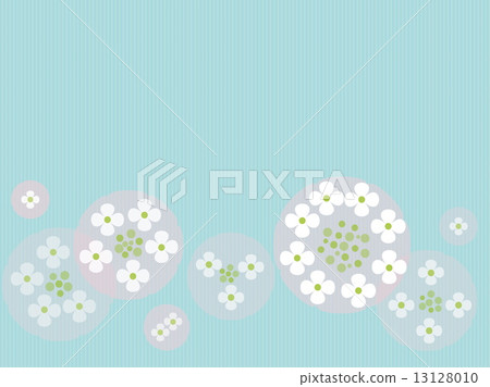  Gaku hydrangea 13128010