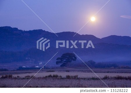 Moon  13128222