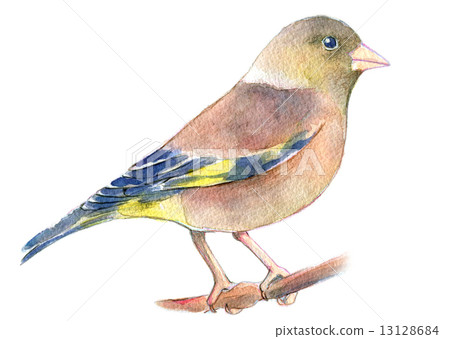 東方金翅 13128684