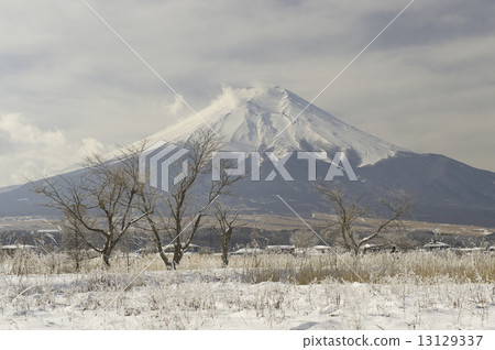 富士冬天的風景 富士冬天的風景 13129337
