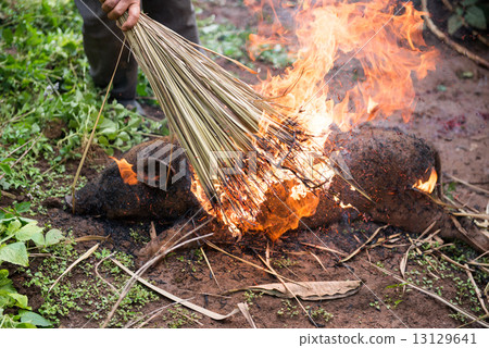 Burning the hair off and roasting 13129641