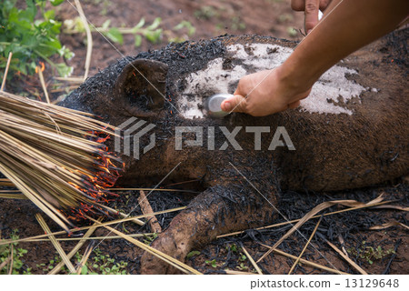 Burning the hair off and roasting 13129648