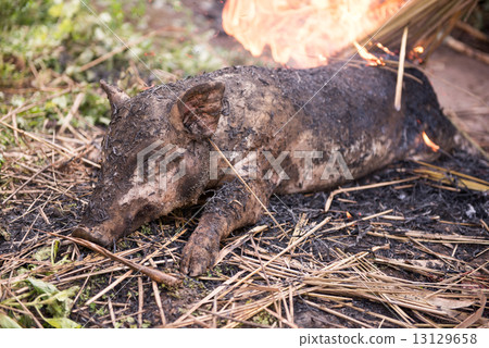 Burning the hair off and roasting 13129658