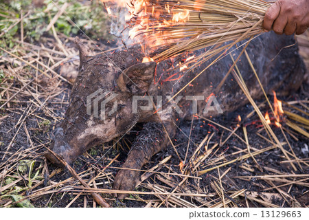 Burning the hair off and roasting 13129663