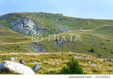 Summer view from Transalpina road (Carpathians,  Romania). 13130931