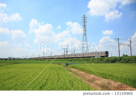 Namenuma field of summer and Musashino line 13130960