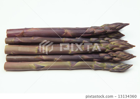 紫蘆筍 紫蘆筍 13134360