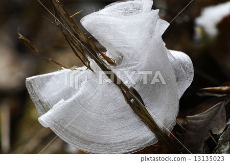 Simovassilla 13135023