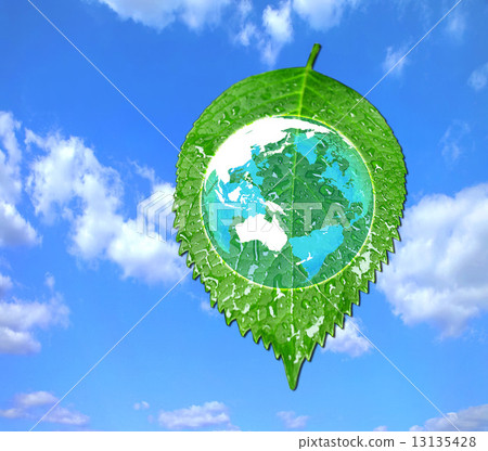 Transparent earth on young leaves Transparent earth on young leaves 13135428