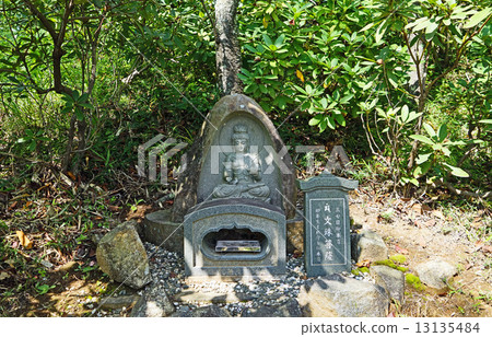 物語bodhisachs 13135484