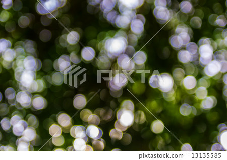 Bokeh Bokeh 13135585