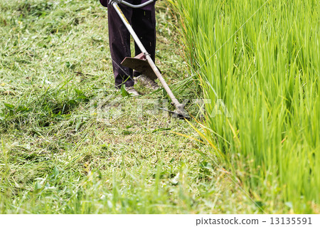 Mowers engine Mowers engine 13135591