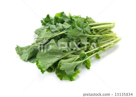 Kakina Kakina 13135834