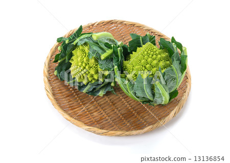 西蘭花羅馬內斯科 13136854