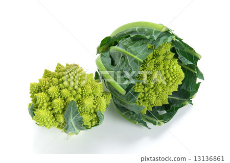 Broccoli Romanesco 13136861