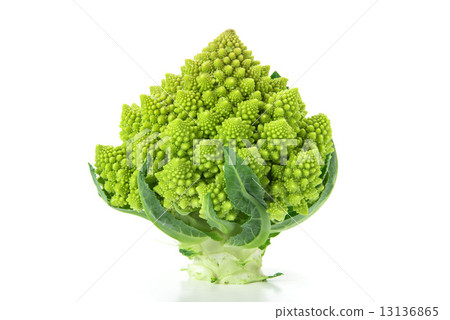 Broccoli Romanesco 13136865