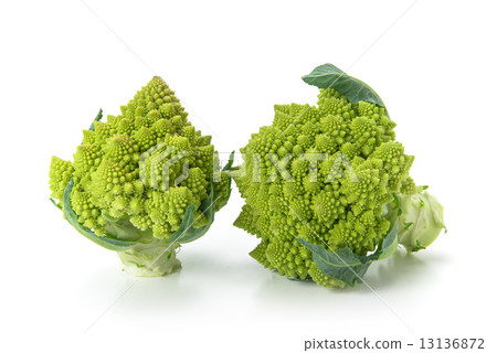 Broccoli Romanesco 13136872
