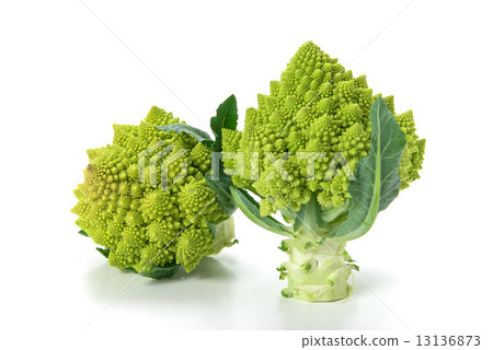 Broccoli Romanesco 13136873