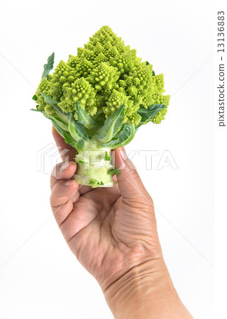 Broccoli Romanesco 13136883