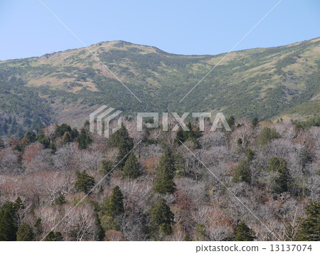 Mt. Foshan 13137074