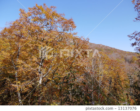 Mt. Foshan 13137076