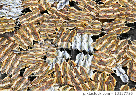 A dried under the sun salty fish gourmet A dried under the sun salty fish gourmet 13137786