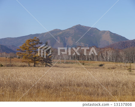 來自Ozegahara的佛山 13137808