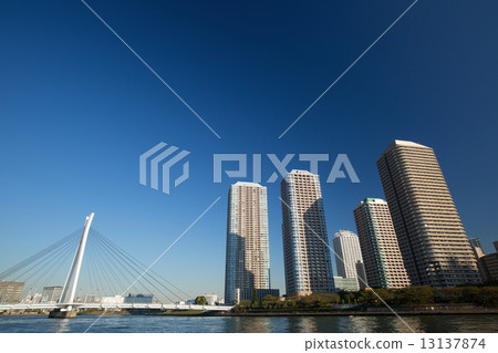 濱海區高層公寓 13137874