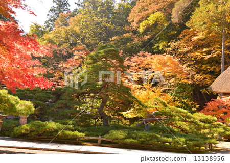 Jogaku-ji花園 13138956