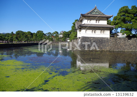 The Imperial Palace and Moss 13139632