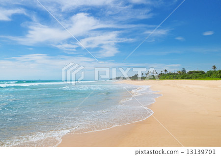 ocean and coconut palms on the shore 13139701