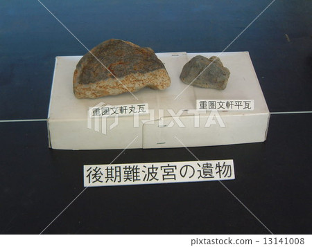 Excavated item 13141008