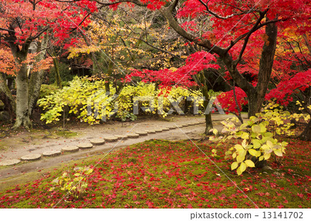 Autumn scenery Kyoto Zen temple Autumn scenery Kyoto Zen temple 13141702