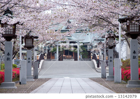 八代城堡 13142079