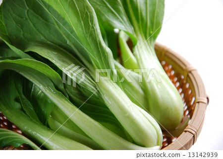 Bok-choy 13142939