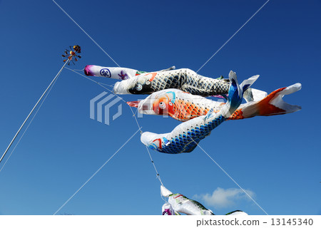 鯉魚旗 鯉魚旗 13145340