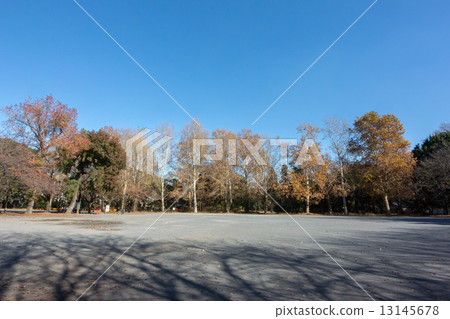 Woodland forest park Woodland forest park 13145678