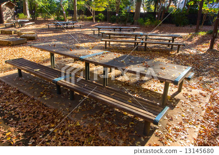 Woodland forest park 13145680