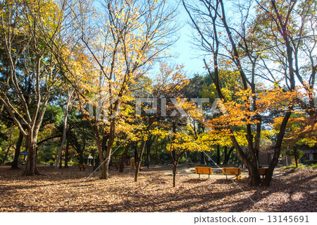 林地森林公園 林地森林公園 13145691