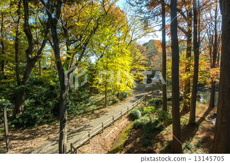 Rinshi no Mori Park, Shinagawa Ward, Tokyo 13145705