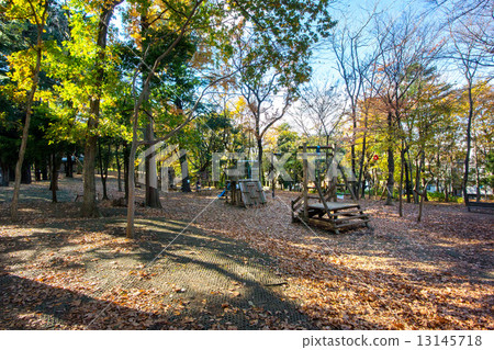 東京都品川區臨市之森公園 13145718