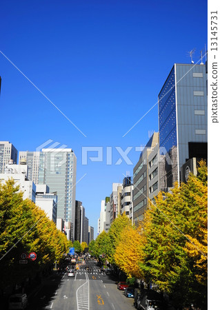 12月城市/城市景觀551虎之門·櫻田的銀杏葉一排黃葉 13145731